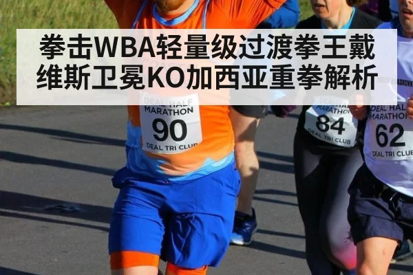 拳击WBA轻量级过渡拳王戴维斯卫冕KO加西亚重拳解析